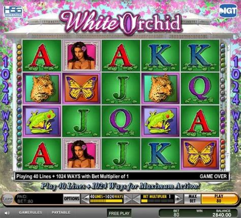 White Orchid Slot Machine » Free Play in Demo by IGT.